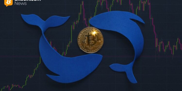 Bitcoin Tumbles Below $100K Amid Sell-Off by Long-Term ‘OG’ Whales