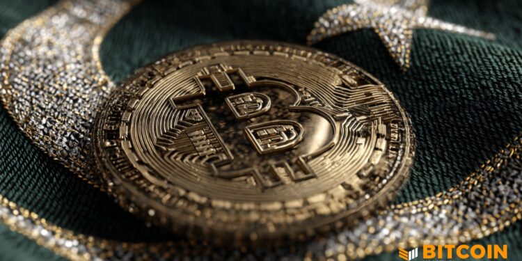 Bitcoin Isn’t Speculation In Pakistan — It’s Survival