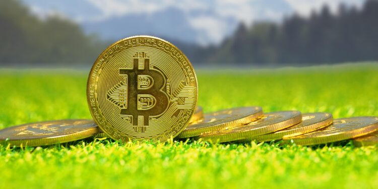 Bitcoin Wholecoin Holders Pulling Back As Inflows To Binance Shrink – What’s Driving It