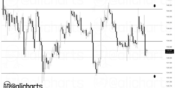 Is SOL USD Preparing for a Breakout as Solana Price Holds Above Key Support?