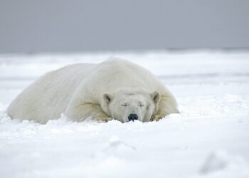 Commodities Surge, Equities Hold Firm, Crypto Falls Behind In 2025 Market Showdown