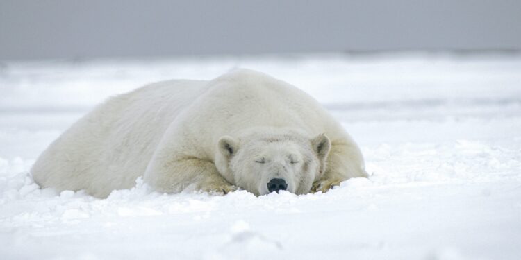 Commodities Surge, Equities Hold Firm, Crypto Falls Behind In 2025 Market Showdown