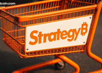 Bitcoin Treasuries: Corporate Crypto Buying Slows, but DAT Giants Keep Accumulating