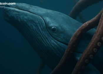 Kraken Crypto Exchange Launches Elite Service Program for Wealthy Digital Asset Investors