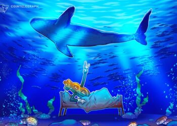 Bitcoin Whales Drop BTC Longs in New Bull Signal