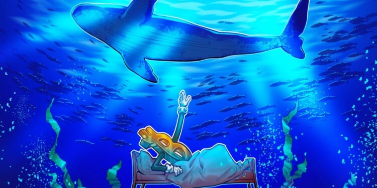 Bitcoin Whales Drop BTC Longs in New Bull Signal