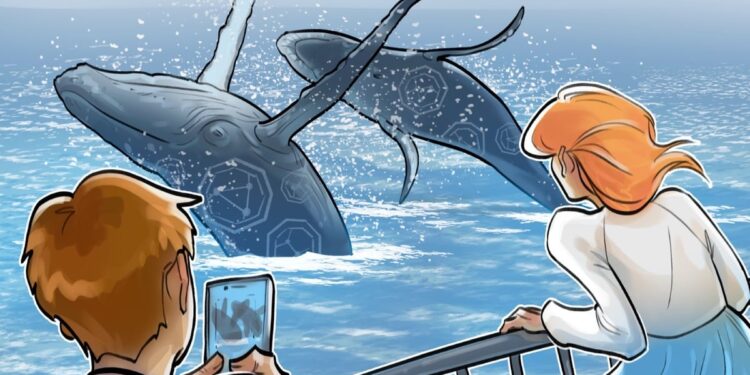 Crypto Deposits Rise, But Buyers Aren’t Showing Up: Analyst