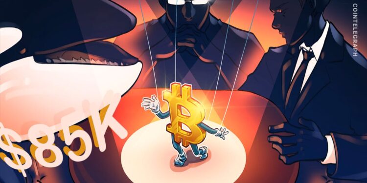 Bitcoin Sell-off Risk Rises As New Whales Control The Price Action