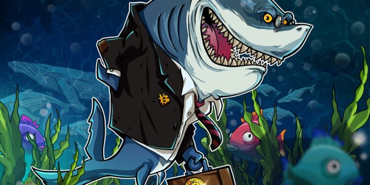 Bitcoin Sharks Accumulate Despite ‘Perfect Bull Trap’ Warnings