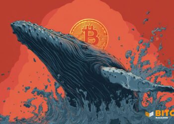 Bitcoin Whales Keep Buying, 100+ BTC Holders Hit New Highs