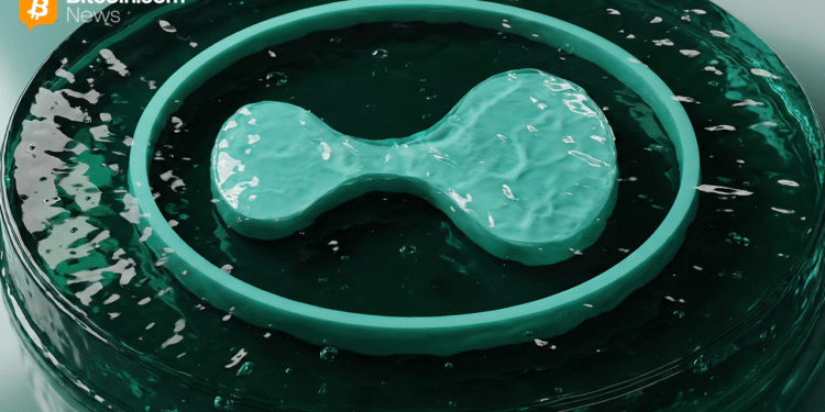 Hyperliquid Explained: A Deep Dive Into the Perp DEX That Reshaped Crypto in 2025