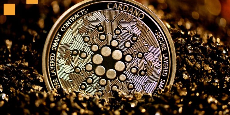 Cardano Whales Stack 210M ADA, Igniting $1 Recovery Hopes