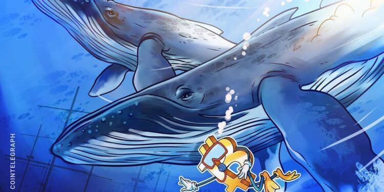 “New” Bitcoin Whale Losses Deepen as Binance Inflows Rise
