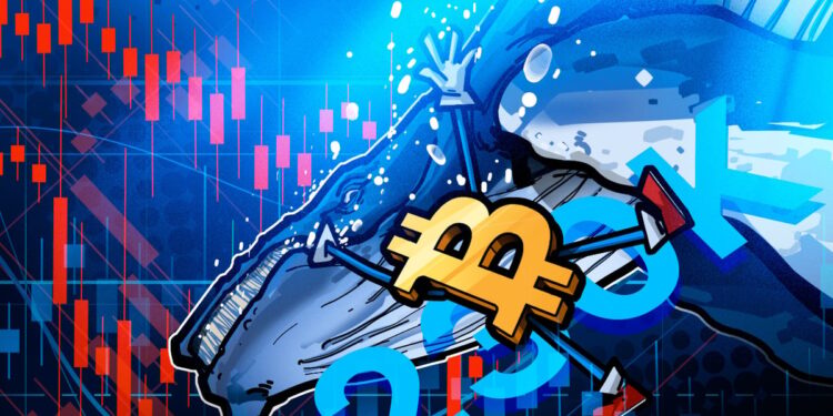 Bitcoin Whales Rebuild Reserves With 236K BTC in 90-days