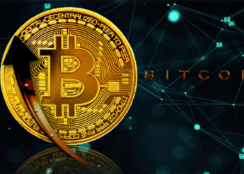 Bitcoin’s Short-Term Holder Whales Sitting On Increasing Unrealized Losses – What’s Going On?
