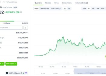 What Is Punch Crypto? Solana Meme Coin Surges 80,000% Since Recent Launch