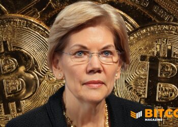 Warren To U.S. Government: “No Bailouts For Crypto”