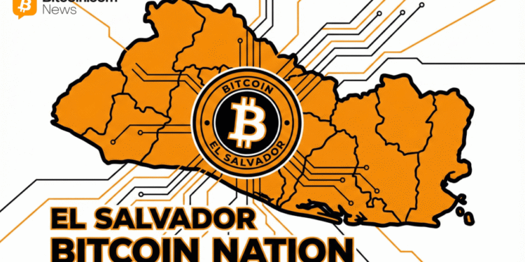 ‘Not A Stock:’ El Salvador Defends Bitcoin Purchases Amid Market Slump