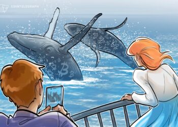 Bitcoin Whales Bought up 61K BTC In a Month Amid Global Uncertainty
