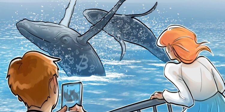 Bitcoin Whales Bought up 61K BTC In a Month Amid Global Uncertainty