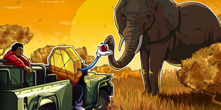 Blockchain Philanthropy Fails Africa’s Real-World Test