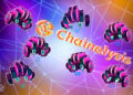 Chainalysis to Add ‘Blockchain Intelligence‘ Agents to Platform