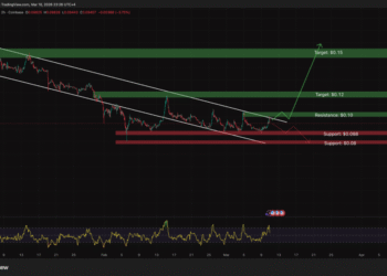 Dogecoin Price Analysis: X Money Nears Launch Without DOGE