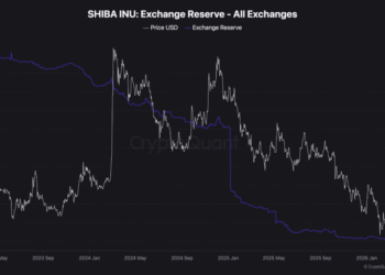 Shiba Inu Price Prediction: ‘Whale Watch’ What 131 Billion Token Withdrawals Mean for Your Bags