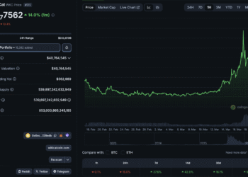 What is WKC Crypto? WIKICAT Price Correction on BSC After +40% Pump