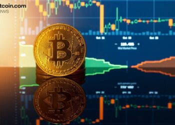 Diamond Hands Win: 85% of Bitcoin Holders Stood Firm Through the February Dip