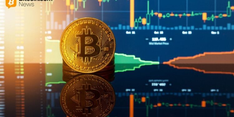 Diamond Hands Win: 85% of Bitcoin Holders Stood Firm Through the February Dip