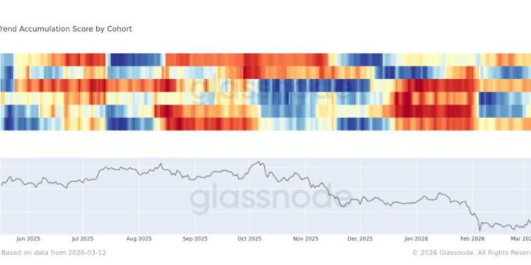 Bitcoin Selling Surges Across Wallets as $70K Holds