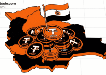 Bank Executive Reinforces Bolivia’s Cryptocurrency Pivot Relevance Amidst Dollar Drought