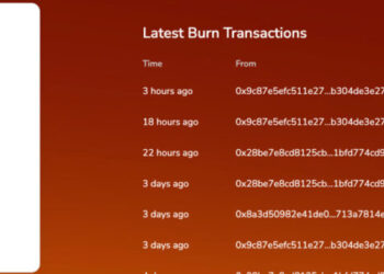 Shiba Inu Price Analysis: Burn Rate Skyrockets 53,000% – What Does This Mean?