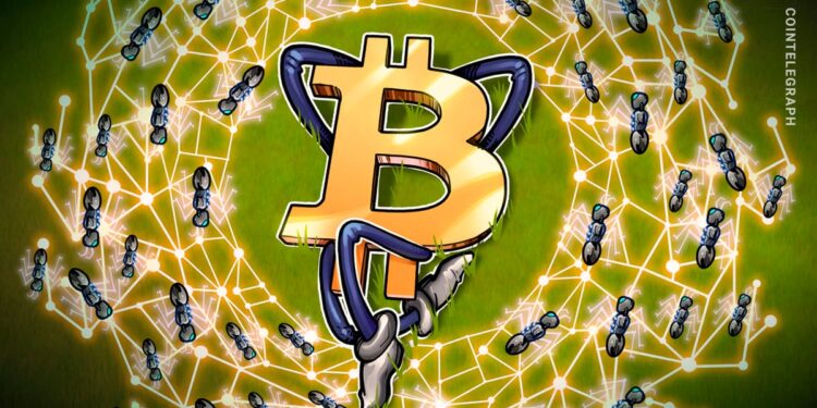 Iran War Cuts Local Hashrate but Global Bitcoin Network Holds Firm