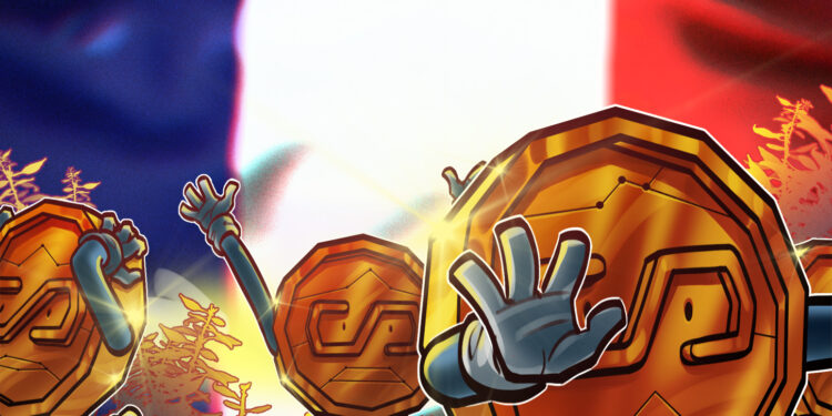 France Pushes Tighter Curbs on Dollar Stablecoins and Self-Custody Wallets