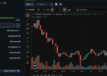 Why Crypto Traders Are Turning on the TRUMP Memecoin