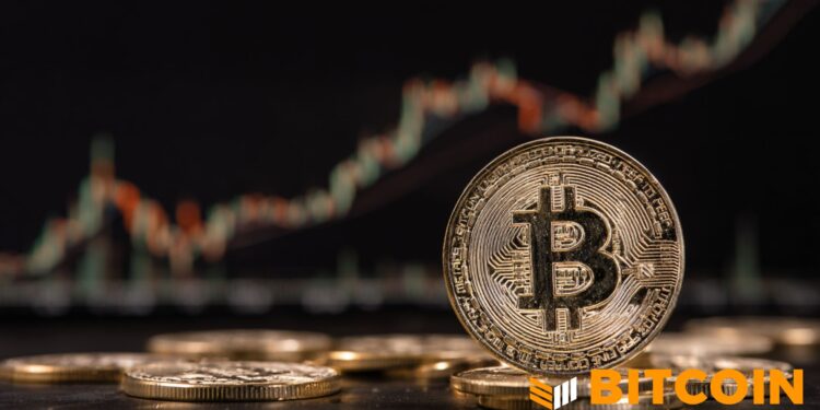 Strive Expands Bitcoin Treasury With $61.4 Million Purchase, Holdings Reach 14,557 BTC