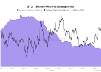 Bitcoin Supply Shock Brewing? Whales Step Back As Long-Term Holders Absorb $49 Billion