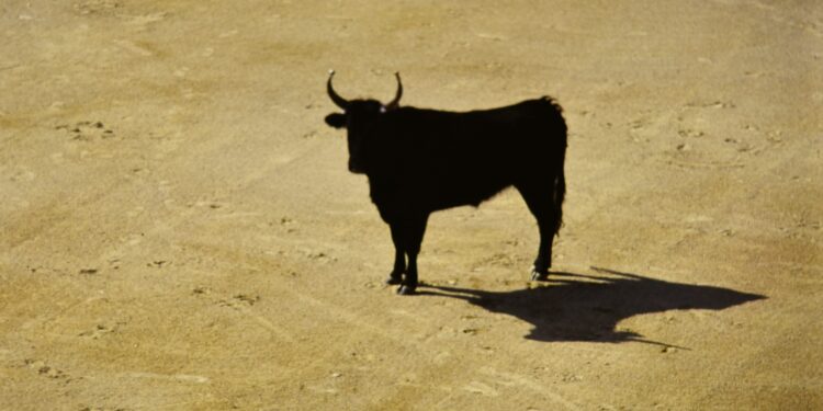 Bitcoin Liquidity Rotation Turns Bullish Again As Stablecoin Shelter Starts To Unwind