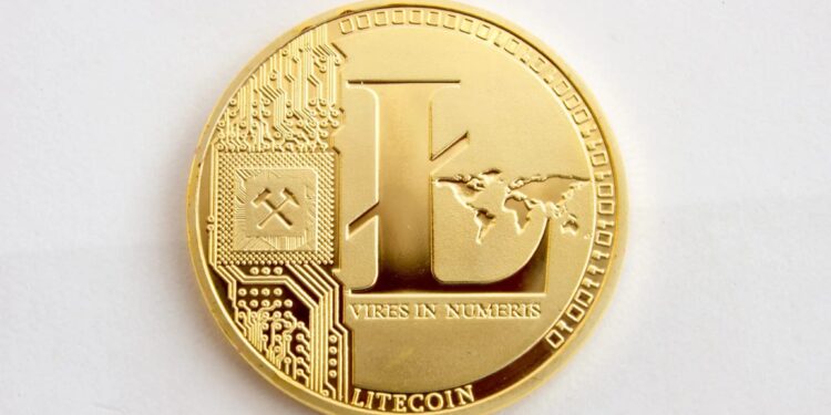 Litecoin Suffers Denial-of-Service Attack Due To Network Bug — Details