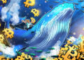 Bitcoin Whale Holdings Hit 5 Month High At 3.09M BTC