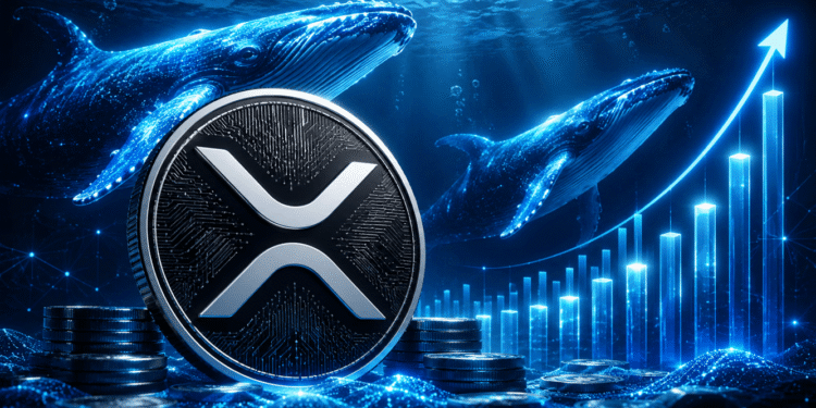 XRP Whales Hold Most Tokens Since 2018 As Price Eyes $1.50