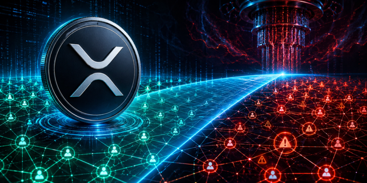 ew Ledger Scan Shows How Much XRP Is Quantum-Exposed