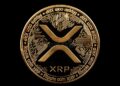 XRP Whale-Retail Spread On Binance Falls To 2024 Levels — What’s Happening?