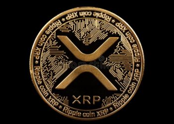 XRP Whale-Retail Spread On Binance Falls To 2024 Levels — What’s Happening?