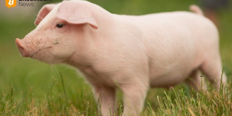 China Confirms Participation in ‘First of Its Kind’ Anti-Pig Butchering Operation