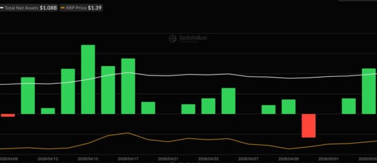 Bitcoin ETF News: BTC Slips Below $80K Despite Record $1B ETF Inflows—Time to Buy the Dip?