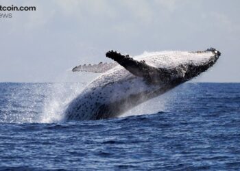 Whale Dumps $100M ETH Short, Pivots to $13.4M Bitcoin Bet at 20x Leverage