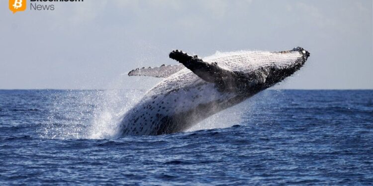 Whale Dumps $100M ETH Short, Pivots to $13.4M Bitcoin Bet at 20x Leverage